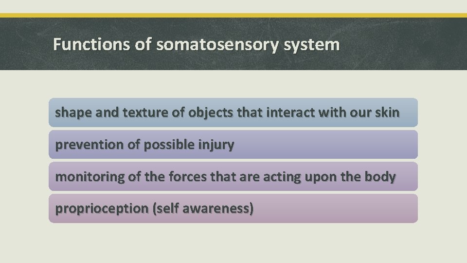 Functions of somatosensory system shape and texture of objects that interact with our skin