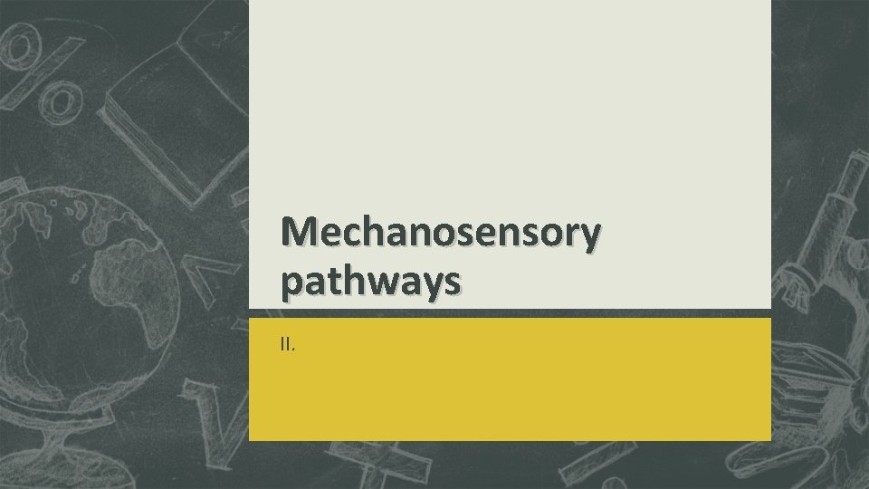 Mechanosensory pathways II. 