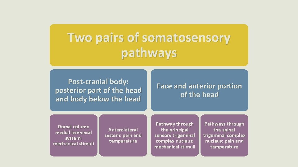 Two pairs of somatosensory pathways Post-cranial body: posterior part of the head and body