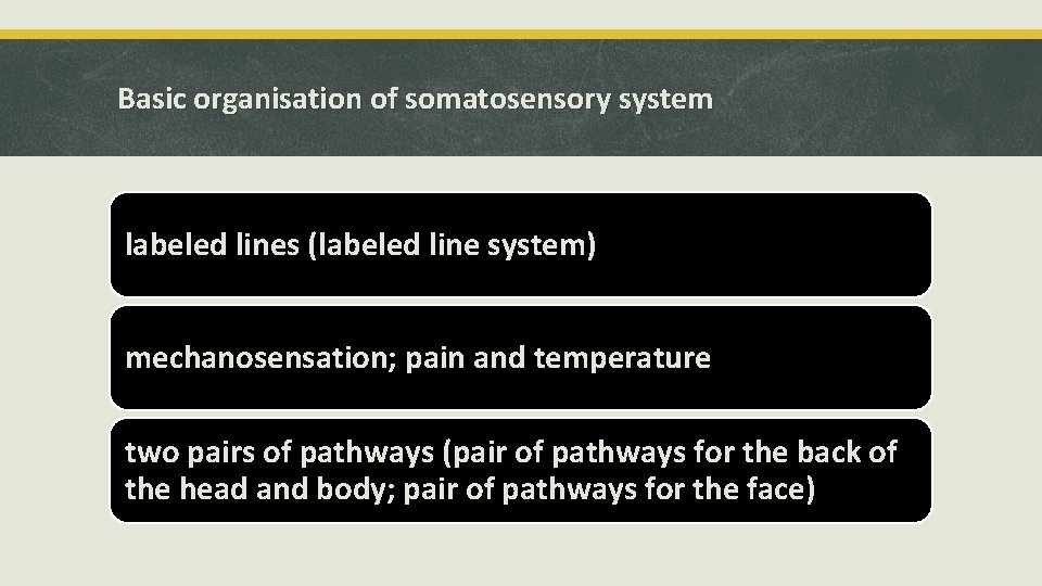 Basic organisation of somatosensory system labeled lines (labeled line system) mechanosensation; pain and temperature