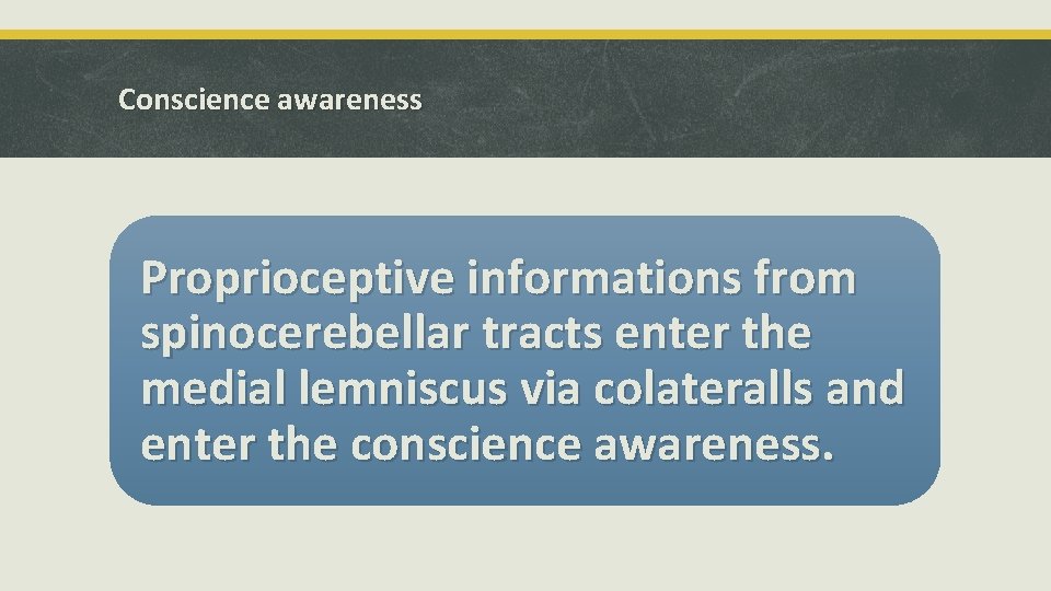 Conscience awareness Proprioceptive informations from spinocerebellar tracts enter the medial lemniscus via colateralls and