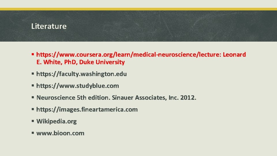 Literature § https: //www. coursera. org/learn/medical-neuroscience/lecture: Leonard E. White, Ph. D, Duke University §