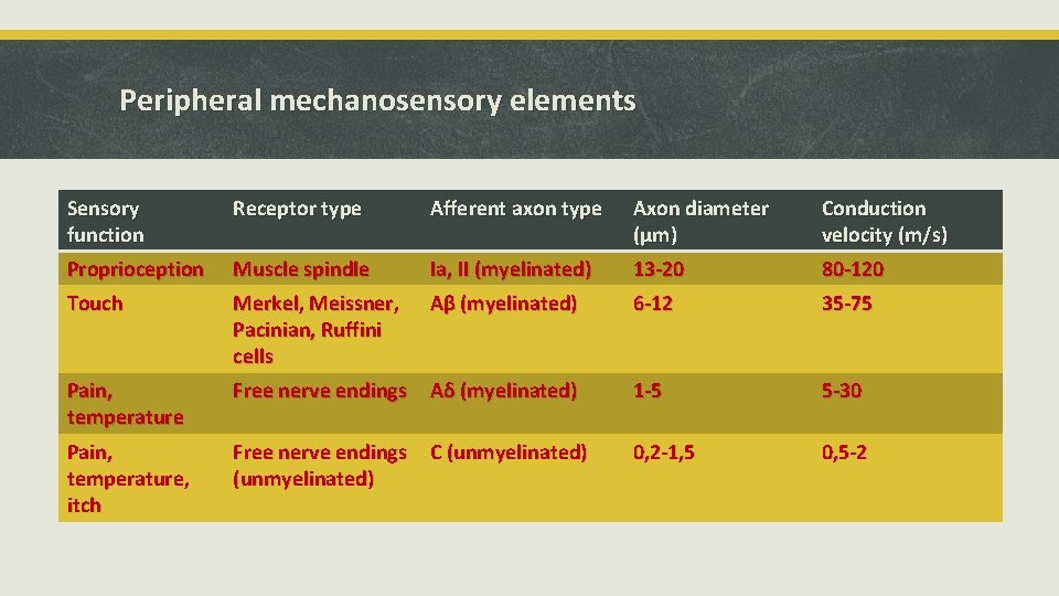 Peripheral mechanosensory elements Sensory function Receptor type Afferent axon type Axon diameter (μm) Conduction