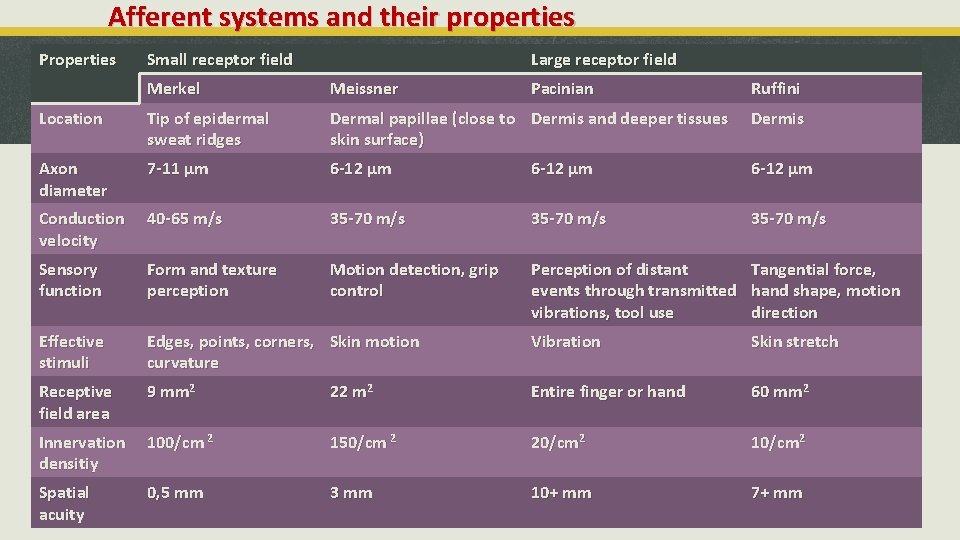 Afferent systems and their properties Properties Small receptor field Large receptor field Merkel Meissner