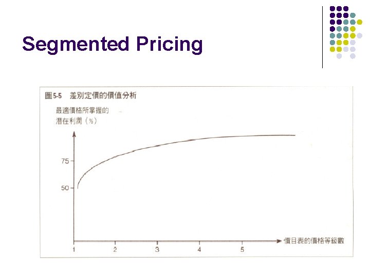 Segmented Pricing 