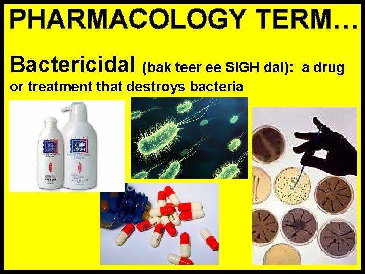 PHARMACOLOGY TERM… Bactericidal (bak teer ee SIGH dal): or treatment that destroys bacteria a