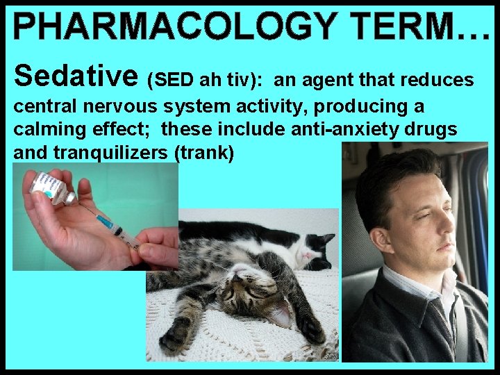 PHARMACOLOGY TERM… Sedative (SED ah tiv): an agent that reduces central nervous system activity,