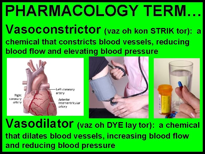 PHARMACOLOGY TERM… Vasoconstrictor (vaz oh kon STRIK tor): a chemical that constricts blood vessels,