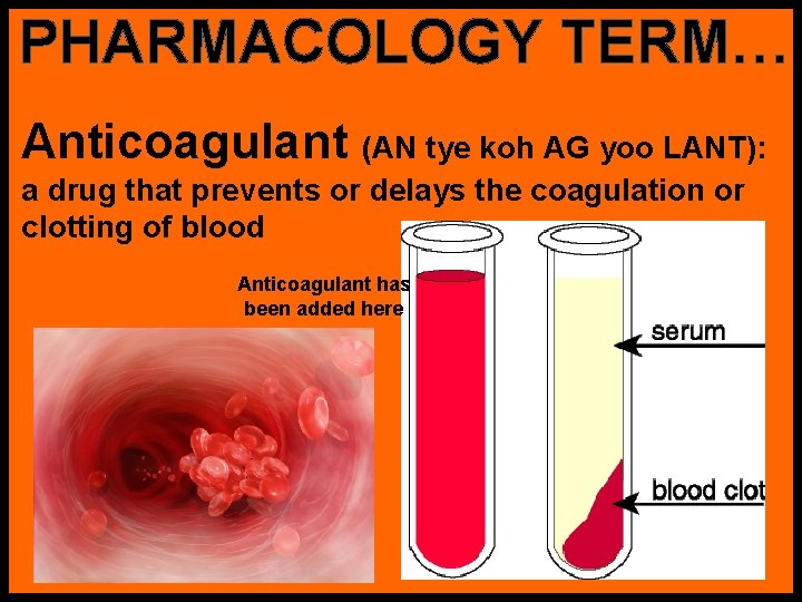 PHARMACOLOGY TERM… Anticoagulant (AN tye koh AG yoo LANT): a drug that prevents or