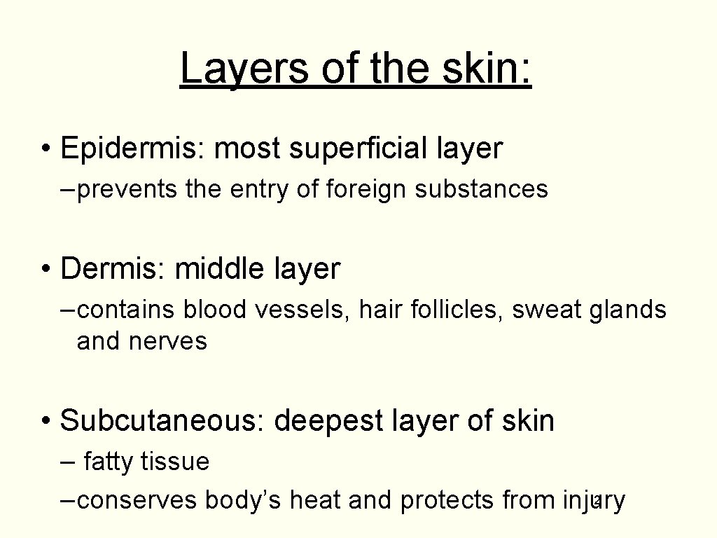 Layers of the skin: • Epidermis: most superficial layer –prevents the entry of foreign