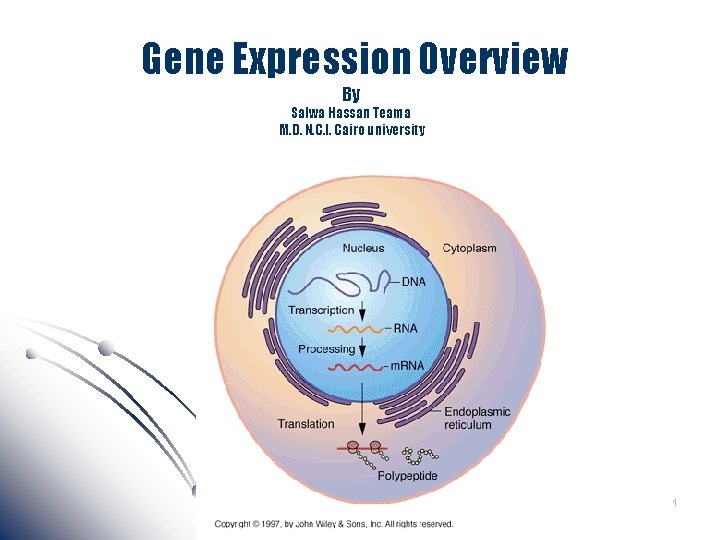 Gene Expression Overview By Salwa Hassan Teama M. D. N. C. I. Cairo university