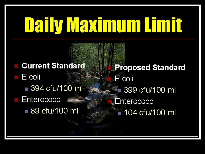 Daily Maximum Limit n n n Current Standard E coli n 394 cfu/100 ml