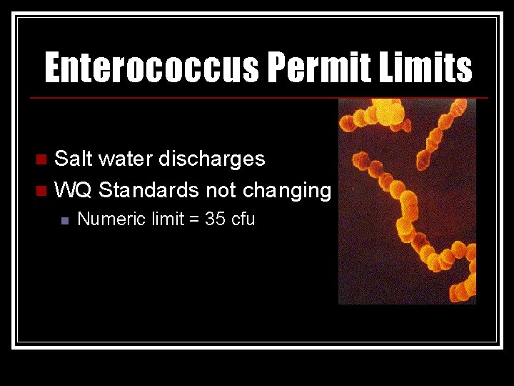 Enterococcus Permit Limits Salt water discharges n WQ Standards not changing n n Numeric
