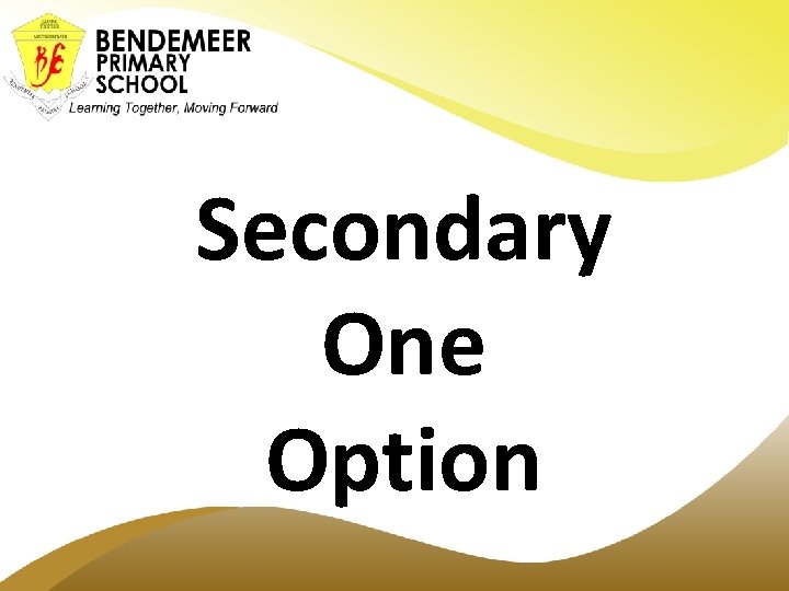 Secondary One Option 