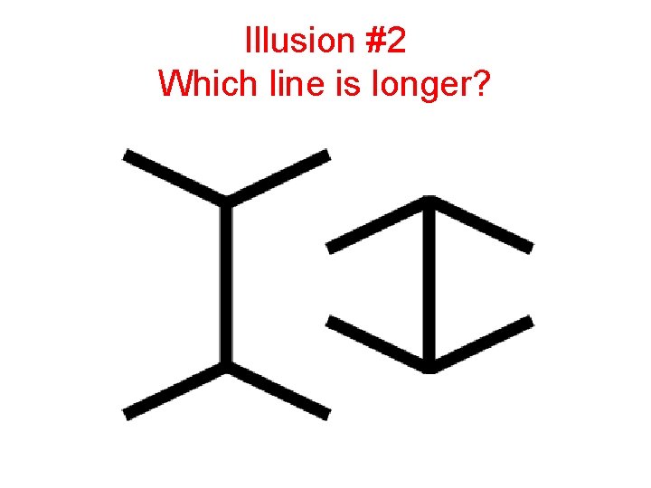 Illusion #2 Which line is longer? 