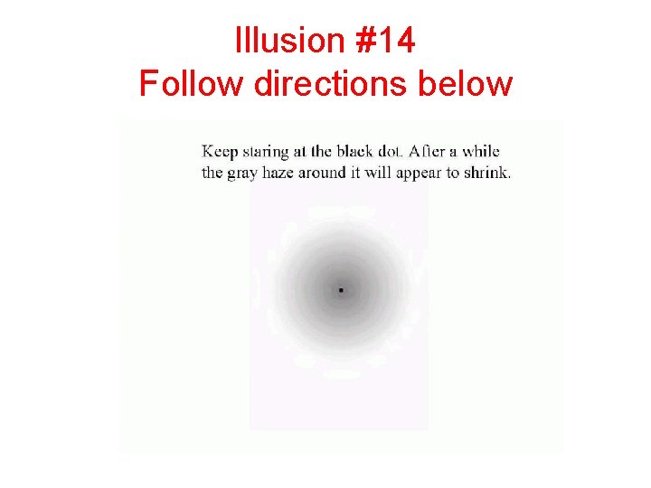 Illusion #14 Follow directions below 