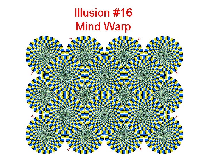 Illusion #16 Mind Warp 