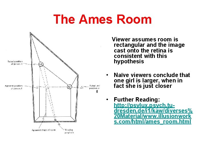 The Ames Room Viewer assumes room is rectangular and the image cast onto the