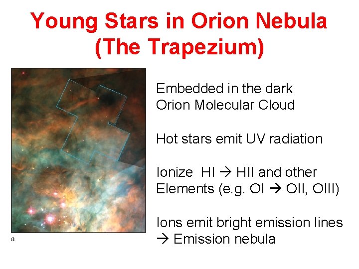 Young Stars in Orion Nebula (The Trapezium) Embedded in the dark Orion Molecular Cloud