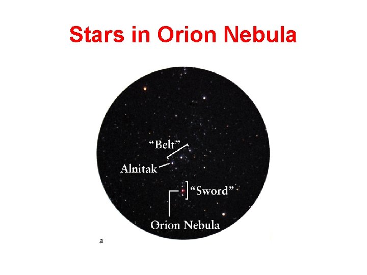 Stars in Orion Nebula 