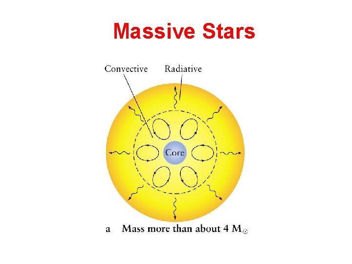 Massive Stars 