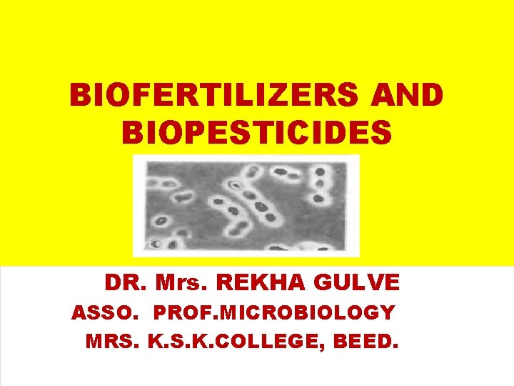 BIOFERTILIZERS AND BIOPESTICIDES DR. Mrs. REKHA GULVE ASSO. PROF. MICROBIOLOGY MRS. K. COLLEGE, BEED.