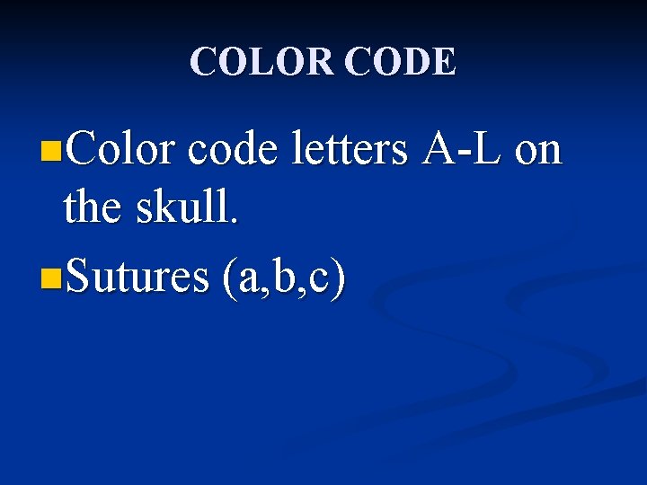 COLOR CODE n. Color code letters A-L on the skull. n. Sutures (a, b,