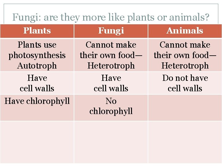 Fungi: are they more like plants or animals? Plants Fungi Animals Plants use photosynthesis