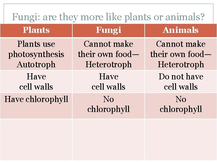 Fungi: are they more like plants or animals? Plants Fungi Animals Plants use photosynthesis