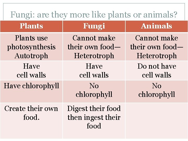 Fungi: are they more like plants or animals? Plants Fungi Animals Plants use photosynthesis