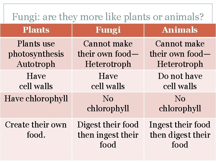Fungi: are they more like plants or animals? Plants Fungi Animals Plants use photosynthesis