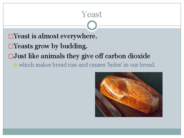 Yeast �Yeast is almost everywhere. �Yeasts grow by budding. �Just like animals they give