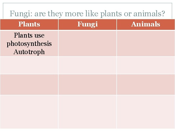 Fungi: are they more like plants or animals? Plants use photosynthesis Autotroph Fungi Animals