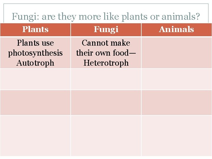 Fungi: are they more like plants or animals? Plants Fungi Plants use photosynthesis Autotroph