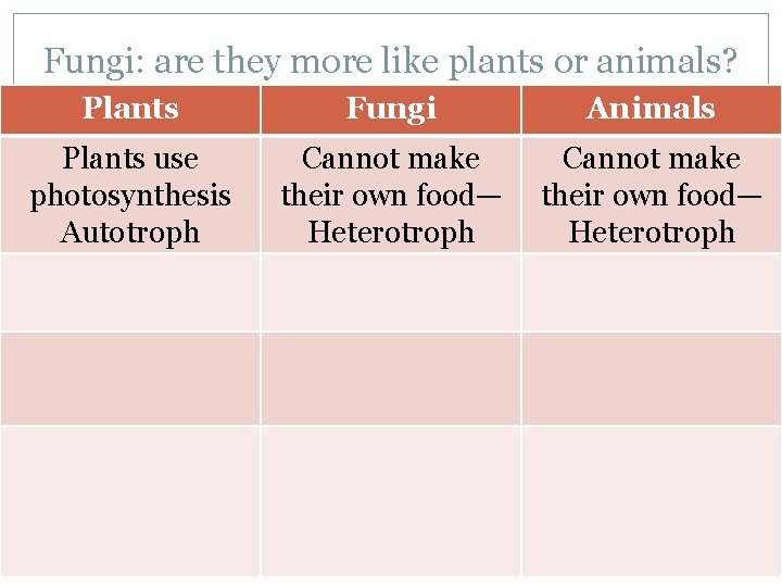 Fungi: are they more like plants or animals? Plants Fungi Animals Plants use photosynthesis