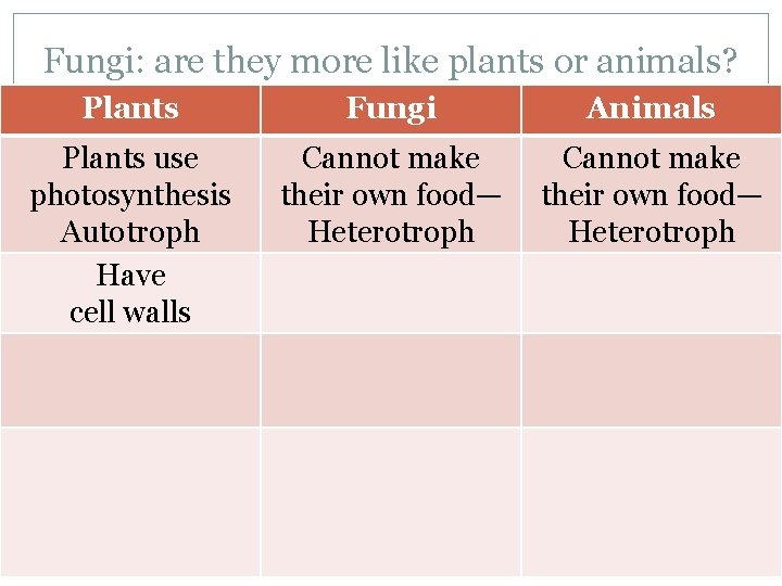 Fungi: are they more like plants or animals? Plants Fungi Animals Plants use photosynthesis