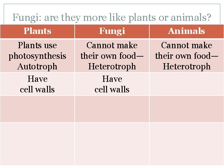 Fungi: are they more like plants or animals? Plants Fungi Animals Plants use photosynthesis