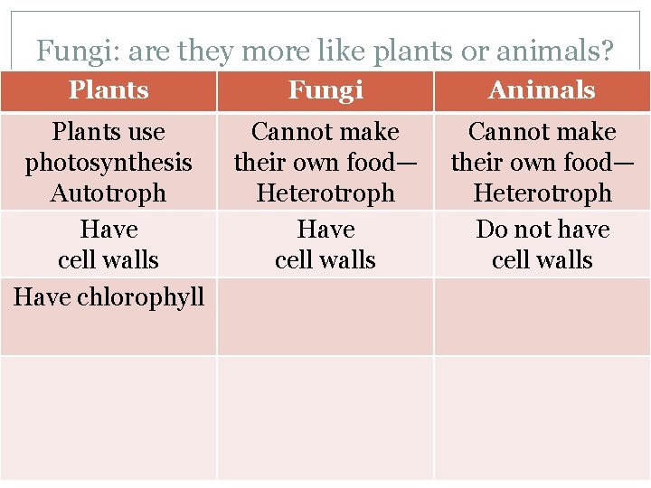 Fungi: are they more like plants or animals? Plants Fungi Animals Plants use photosynthesis