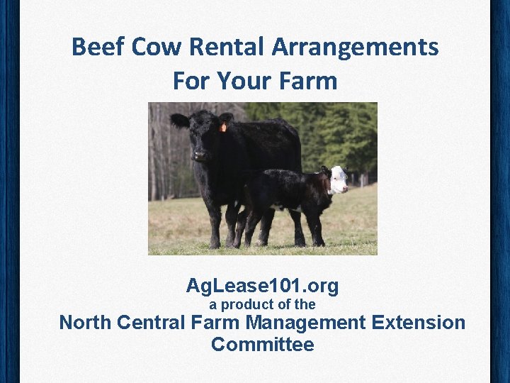 Beef Cow Rental Arrangements For Your Farm Ag. Lease 101. org a product of