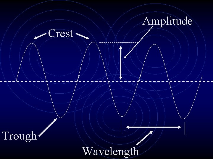 Amplitude Crest Trough Wavelength 