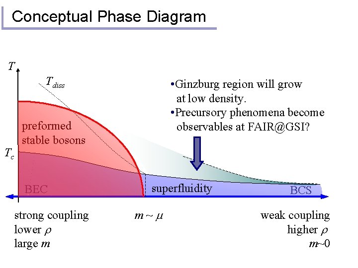 Conceptual Phase Diagram T Tdiss Tc • Ginzburg region will grow at low density.