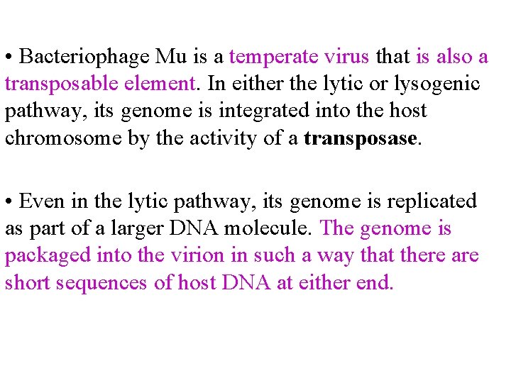  • Bacteriophage Mu is a temperate virus that is also a transposable element.