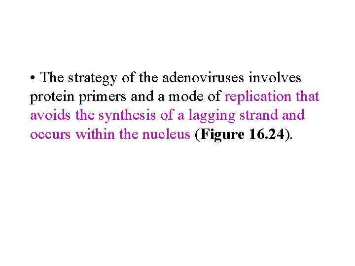  • The strategy of the adenoviruses involves protein primers and a mode of