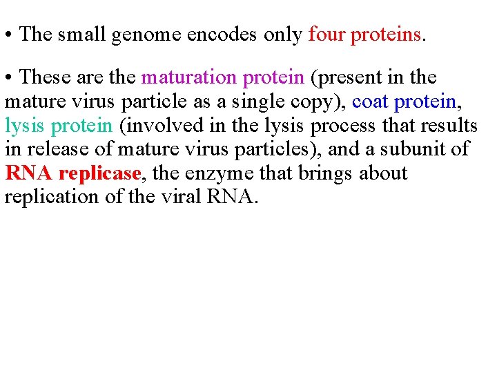  • The small genome encodes only four proteins. • These are the maturation