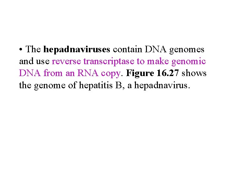  • The hepadnaviruses contain DNA genomes and use reverse transcriptase to make genomic