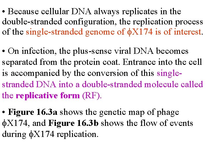  • Because cellular DNA always replicates in the double-stranded configuration, the replication process