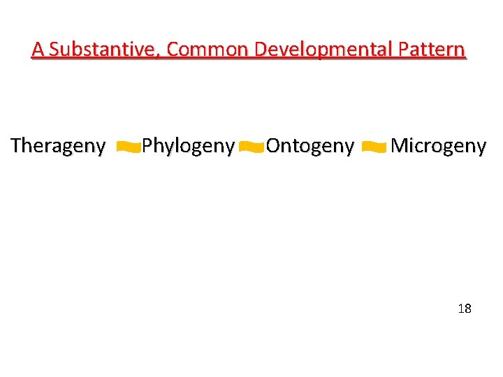 A Substantive, Common Developmental Pattern Therageny Phylogeny Ontogeny Microgeny 18 