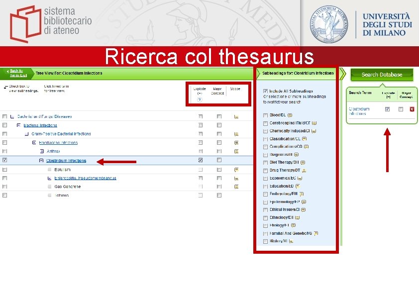 Ricerca col thesaurus 
