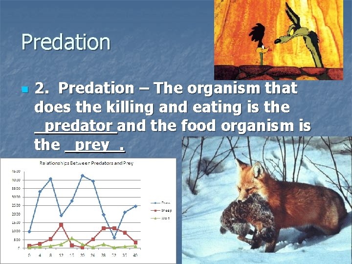 Predation n 2. Predation – The organism that does the killing and eating is