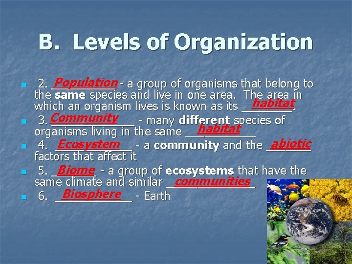 B. Levels of Organization n n Population - a group of organisms that belong
